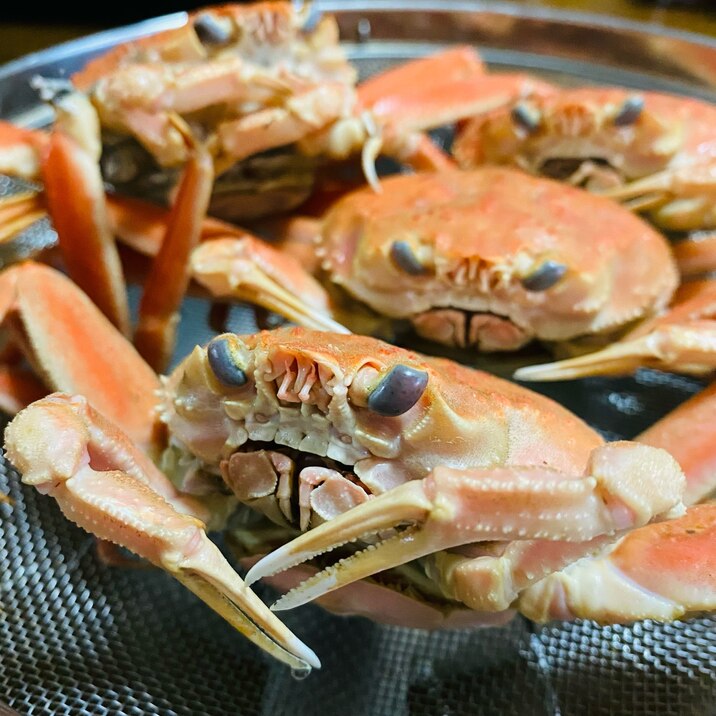 蟹の季節到来!香箱蟹の茹で方